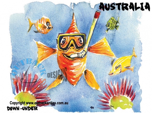 Downunder 6-Pack