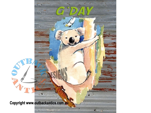 Gday Koala 6-Pack