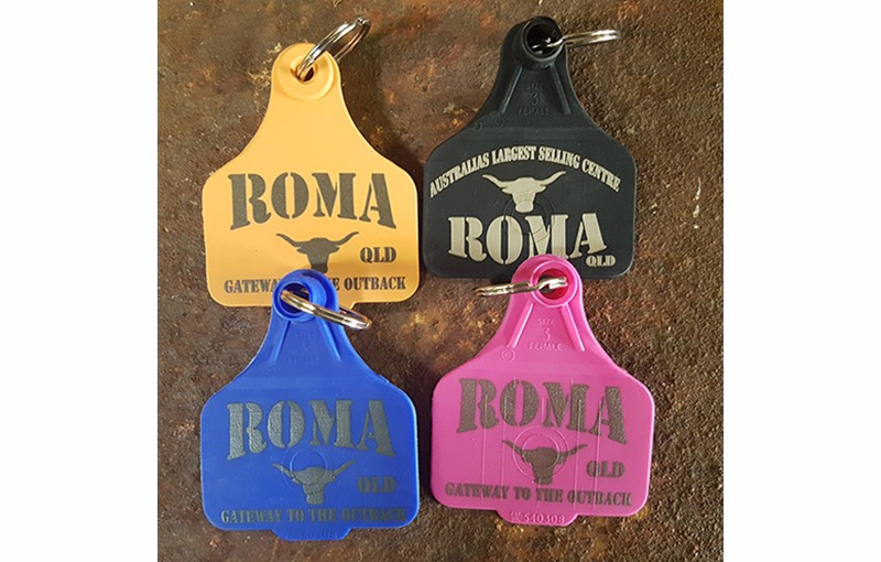 Cattle-tag Key Ring x 100
